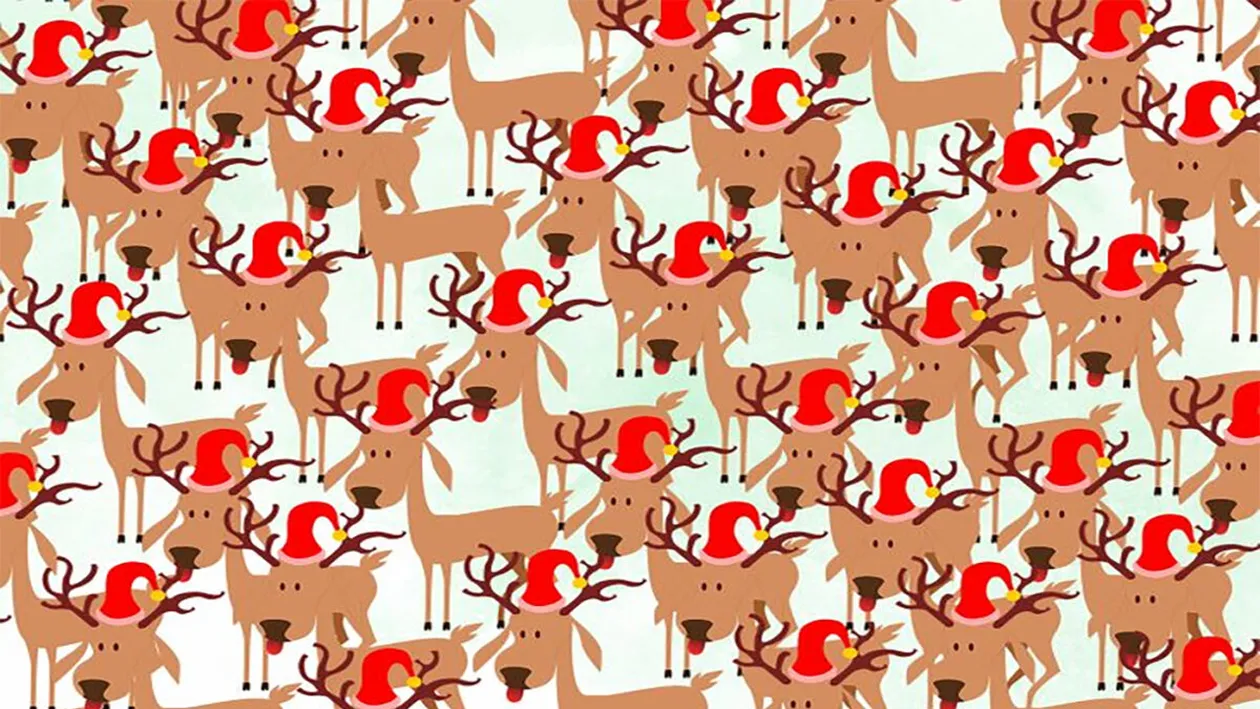 Test IQ de Crăciun | Care dintre renii lui Moș Crăciun e diferit de ceilalți?