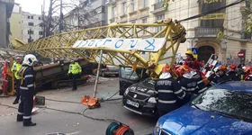 Galerie foto - poza 2