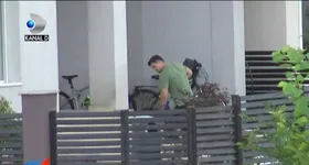 Galerie foto - poza 3