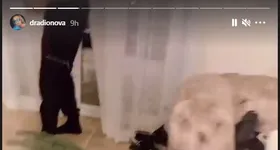 Galerie foto - poza 2