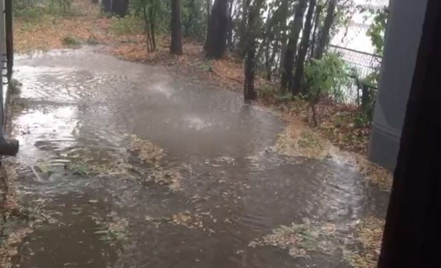 25 de copaci au fost doborâți de vijelia din Capitală pe carosabil și pe șase mașini