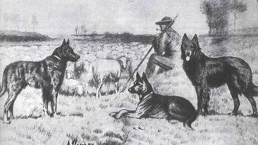 Animale interbelice, ep. 1 – Mircea Vulcănescu și Ion Barbu