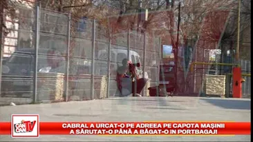 Cabral a urcat-o pe Andreea pe capota masinii! A sarutat-o pana a bagat-o in portbagaj!