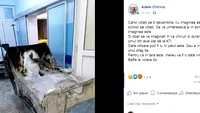 Bendeac a reacționat la mesajul cutremurător scris de Adela după tragedia de la ATI: ”Să vă imaginați în ce chinuri și dureri a murit omul! Jeguri fără conștiință!”