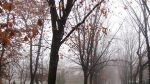 PROGNOZA METEO: Cum va fi vremea in prima zi a saptamanii