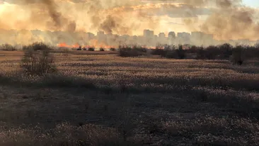 Incendiu devastator în Delta Văcărești pe o suprafață de 20.000 de metri pătrați VIDEO