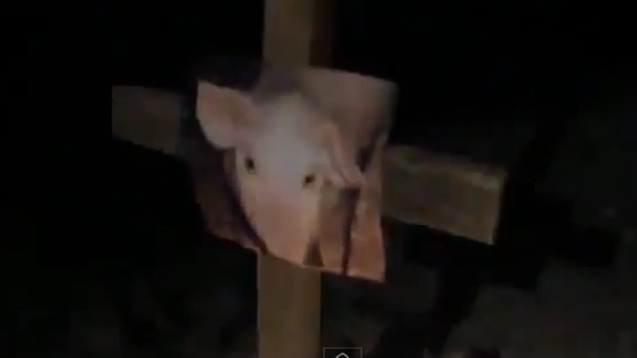 Gestul care ar putea declansa JIHADUL! Ce au putut sa ingroape doi rusi in fundatia unei moschei: Este satanic si profan