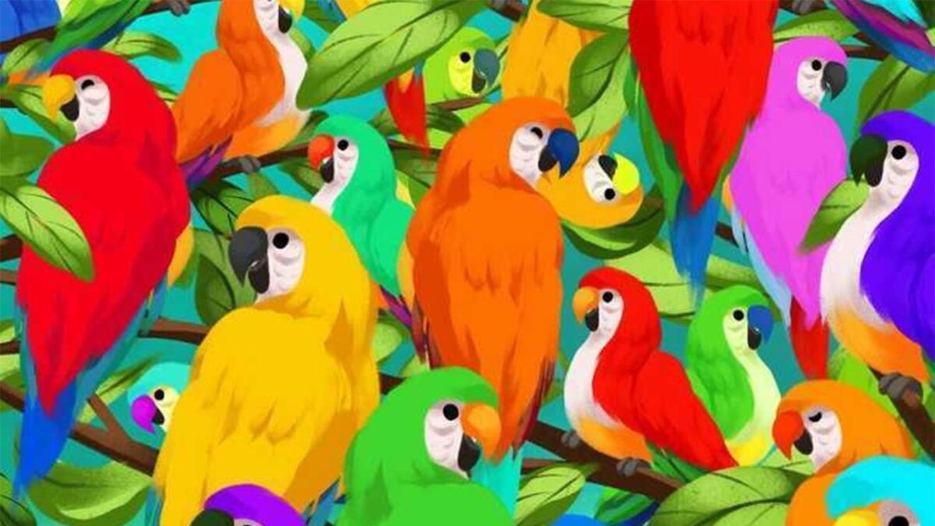 Iluzie optică virală | Unde este cameleonul? Aveți 7 secunde să îl găsiți