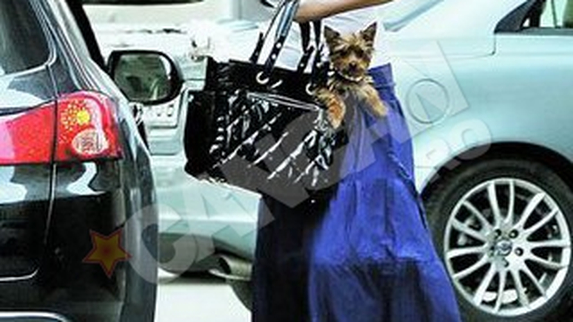 Bianca Dragusanu tulbura pacea cartierului in care locuieste! O vecina de cosmar!