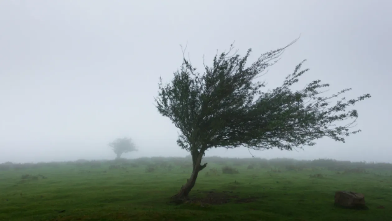 Cod Galben de vreme rea. 11 județe sunt vizate 