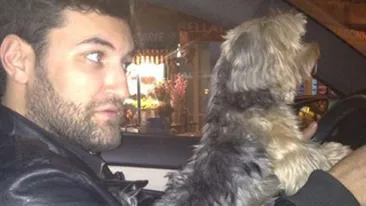 Smiley il invata pe cainele Laurei Cosoi sa conduca masina! Crezi ca il vom vedea in curand la Romanii au talent?