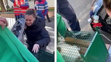 Revedere emoționantă după explozia din Rahova! Cum arată pisica salvată din catastrofă. A fost reunită cu familia ei