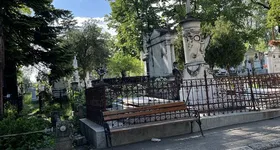 Galerie foto - poza 3