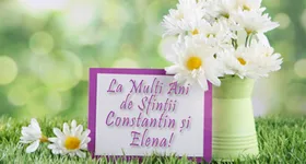 Galerie foto - poza 4