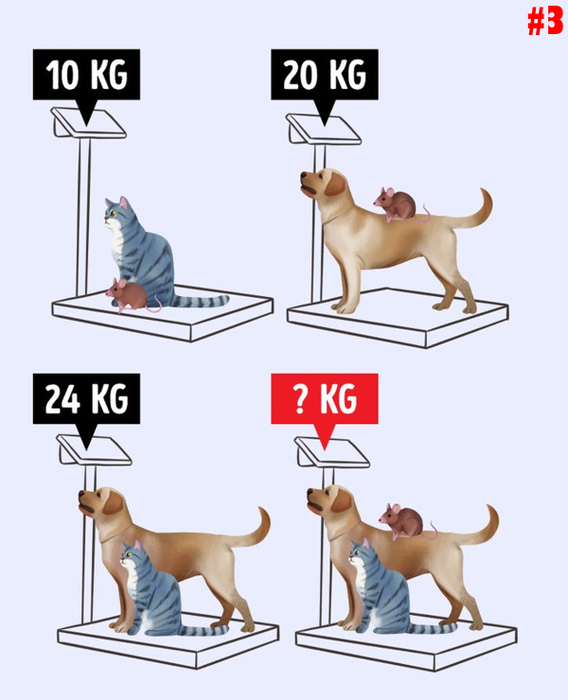 Test IQ viral cu 10 întrebări | Prima: Puteți găsi greșeala?