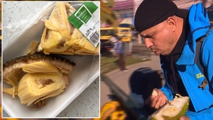 Ireal cât costă în Carrefour 1 kg de Jackfruit, fructul bizar care i-a făcut să vomite pe concurenții de la America Express