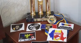 Galerie foto - poza 2