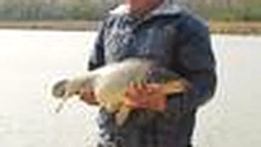 Topul baltilor cu peste de langa Bucuresti