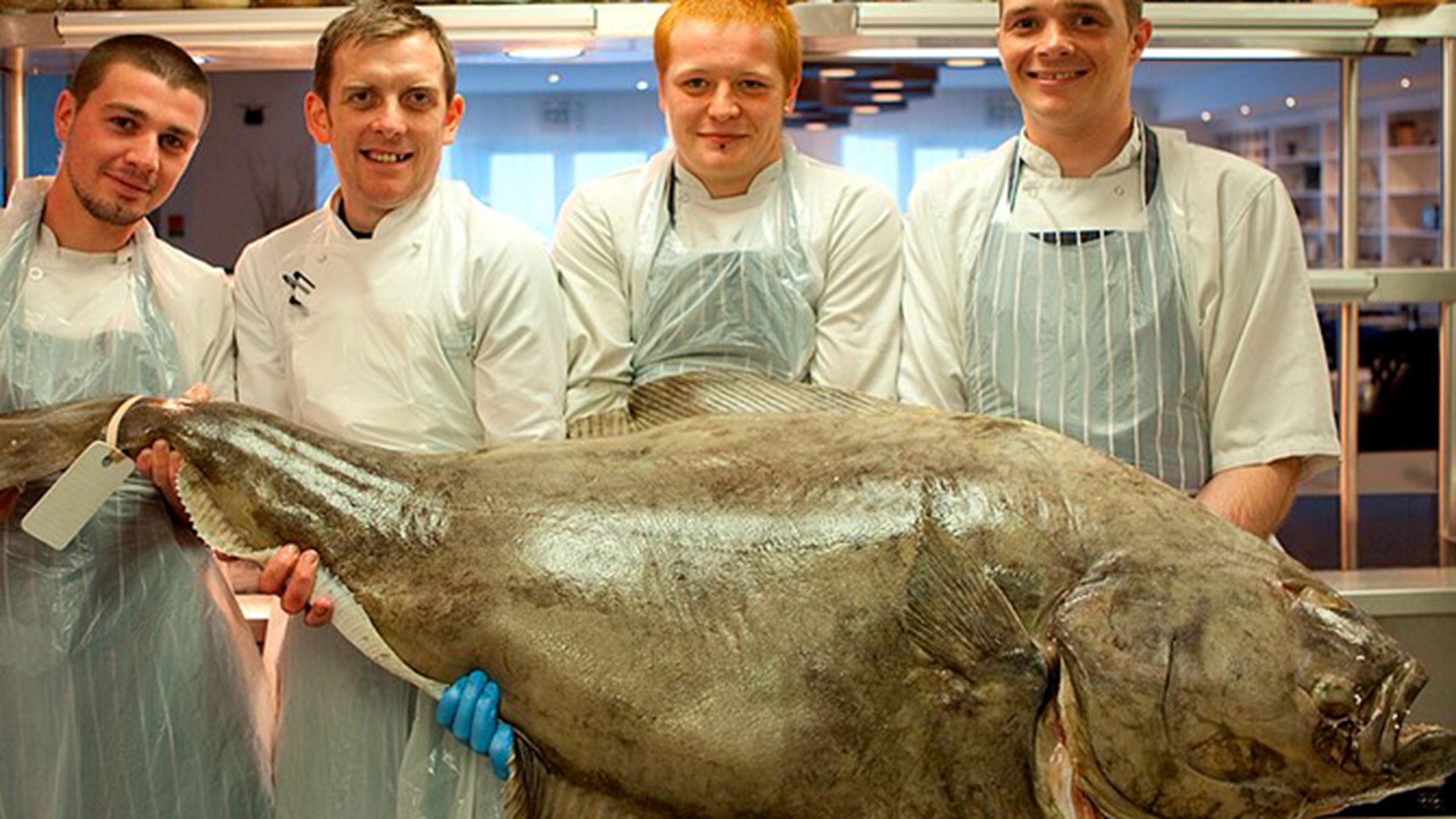 Au cumparat un peste de 42 de kilograme
