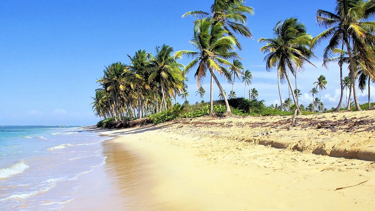 Emisiunea Survivor România Live Stream Online pe Kanal D - Ediția de sâmbătă, 18 ianuarie. Video