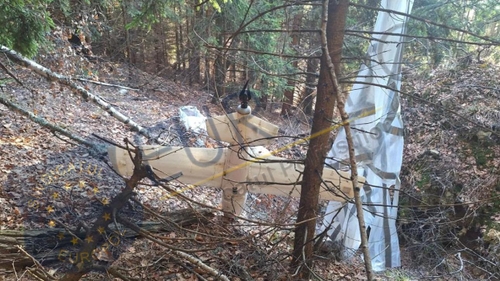 Alertă în Argeș. O dronă de mari dimensiuni a fost descoperită de un vânător într-o pădure