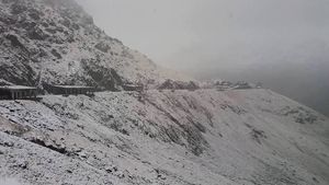 A căzut prima ninsoare! Unde şi cât este stratul de zăpadă
