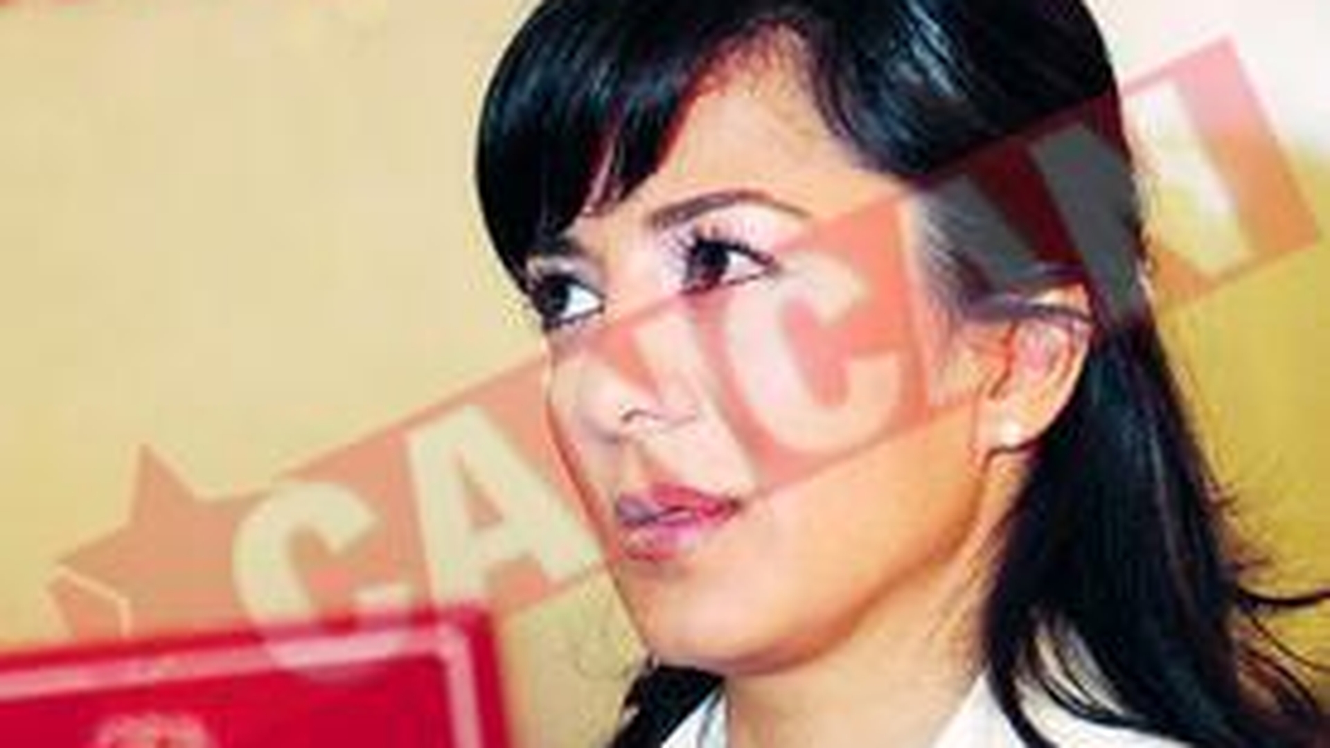 Parlamentul anonimilor
