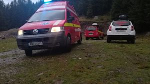 Tovarăși de stână, dușmani după un pahar de tărie. Un cioban a ajuns la spital snopit în bătaie de un alt angajat la stână VIDEO