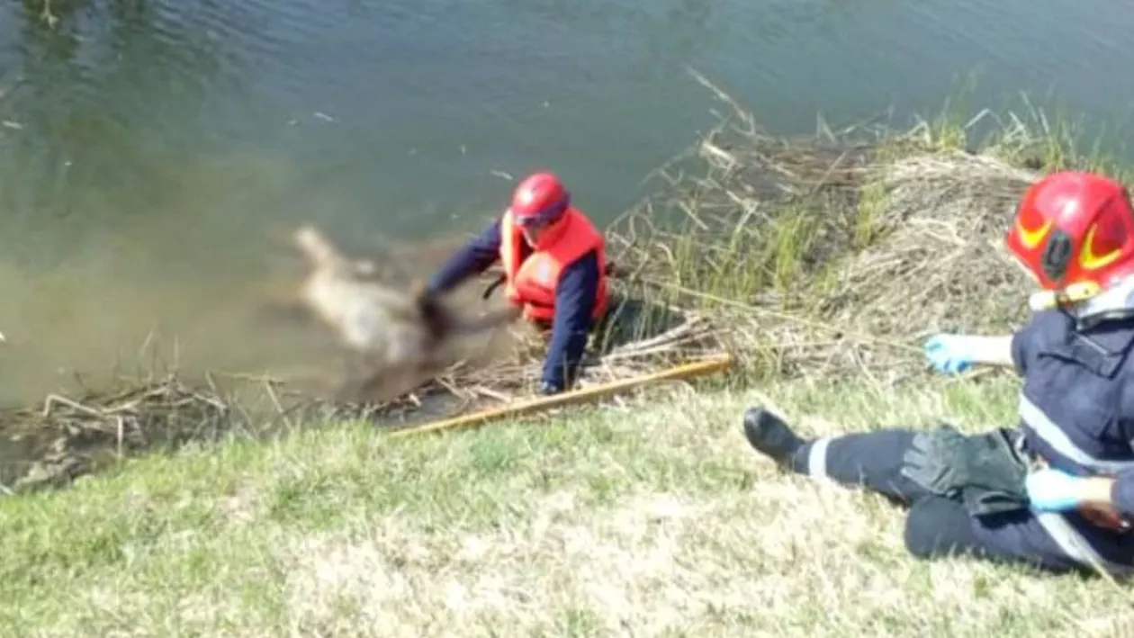 Ce dramă! A dispărut în luna martie, iar acum i-au găsit cadavrul în apele râului Bârlad