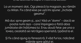 Galerie foto - poza 2