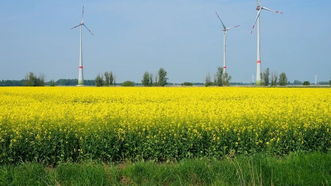 Prognoza meteo 21 mai: Vreme frumoasă în mare parte a țării