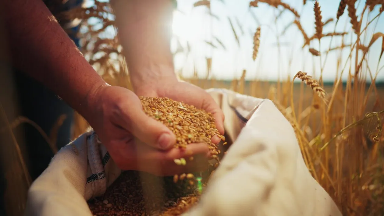 Singura țară din lume care își poate asigura integral hrana necesară din producție proprie. Care este situația României?