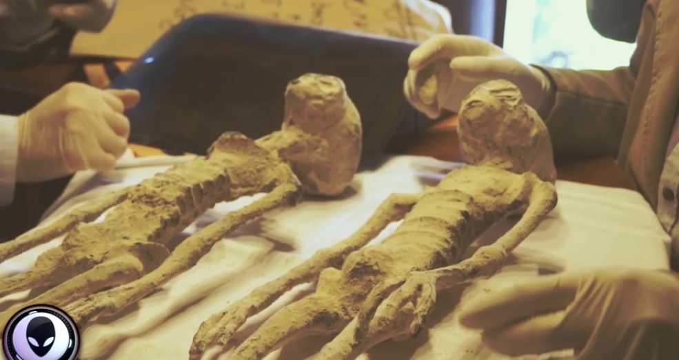 Au găsit mai multe cadavre ciudate şi au cerut părerea experţilor. S-au făcut câteva teste, iar rezultatele au fost şocante. Ce descoperiseră de fapt