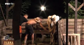 Galerie foto - poza 2