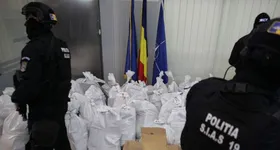 Galerie foto - poza 3