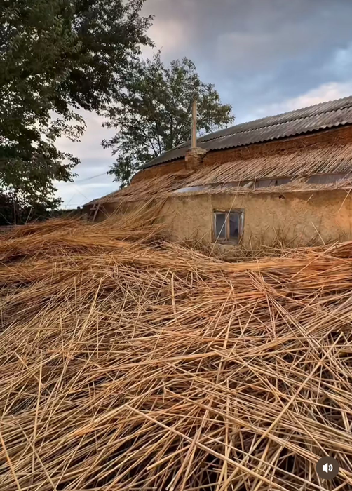 Cum arată casa pe care Sânziana Negru a renovat-o recent, de dragul bunicilor? A schimbat 5 echipe de muncitori în 2 ani