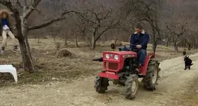 Galerie foto - poza 4