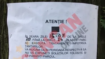 Tantarul-tigru ataca Romania