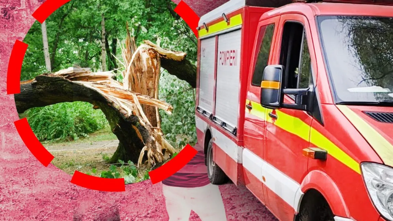 Tragedie în pădure produsă în această dimineață: pompierii au luptat în zadar pentru viața unui bărbat