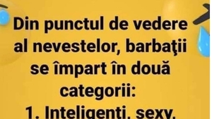 BANCUL ZILEI | Din punctul de vedere al nevestelor, bărbații se împart în 2 categorii