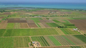 Creste-ti animalele eco si UE te finanteaza! Vezi ce sume colosale primesti daca le ingrijesti ca la carte!