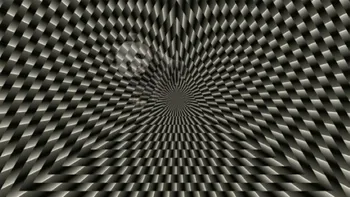 Iluzie optică | Ce animal se ascunde în această imagine? Geniile răspund corect în 19 secunde