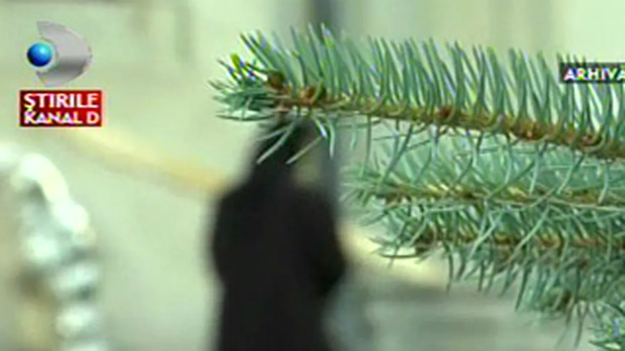 VIDEO Inainte sa ramana gravida, maica stareta mergea la mare! Altele ca ea se duceau si la discoteca