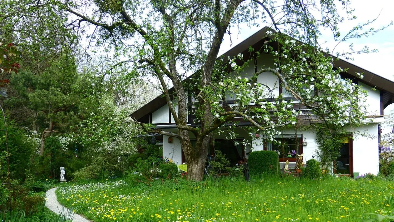 Locul din România unde poți să primești gratuit casă. Ce condiții trebuie să îndeplinești