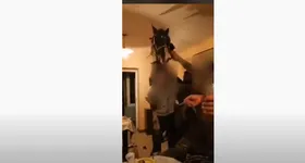 Galerie foto - poza 1