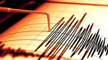 Cutremur semnificativ în Vrancea, produs la ora 11:57. Ce magnitudine a avut
