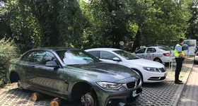 Galerie foto - poza 1