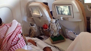 Acest prinţ din Arabia Saudită a cheltuit o mică avere pentru a le cumpăra locuri în avion celor 80 de şoimi ai săi. Imaginea a devenit virală