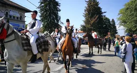 Galerie foto - poza 2