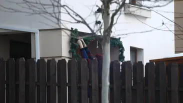 Andreea Marin va reveni in vila din Pipera, dupa vacanta. Menajera a spalat geamurile si a curatat curtea, in asteptarea Zanei